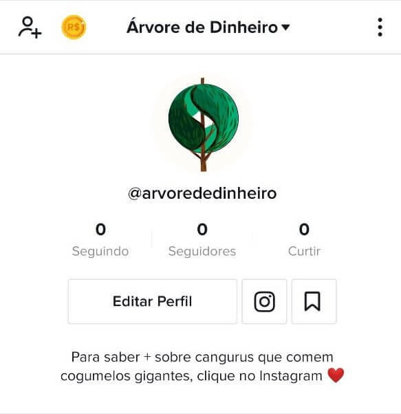 perfil-tiktok-instagram